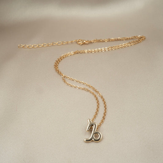 Zodiac sign ketting 'Capricorn'